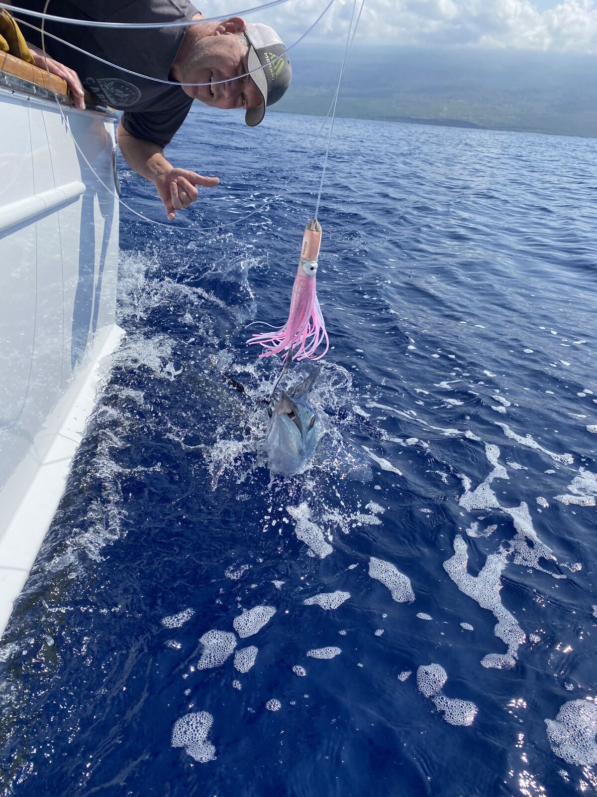 Tag and flag marlin tournament