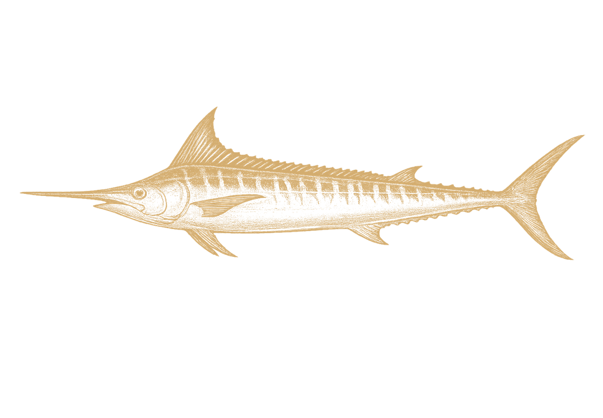 Shortbill Spearfish
